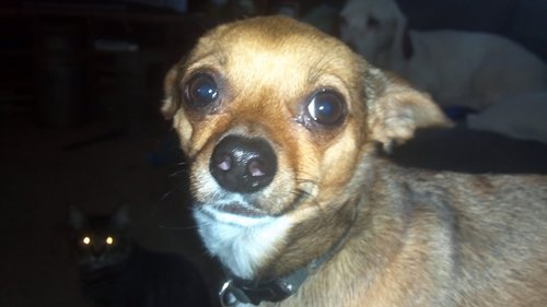 cindyrobuck Profile Picture