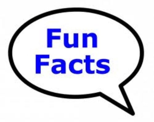Ill tweet about random things in life that anyone can relate to, ill also tweet random fun facts