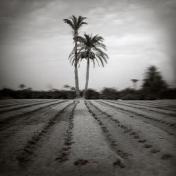 Fotografía