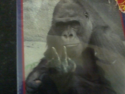 cpaul653's profile picture. 