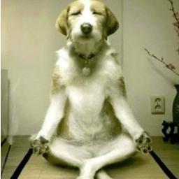 gag_pro's profile picture. 