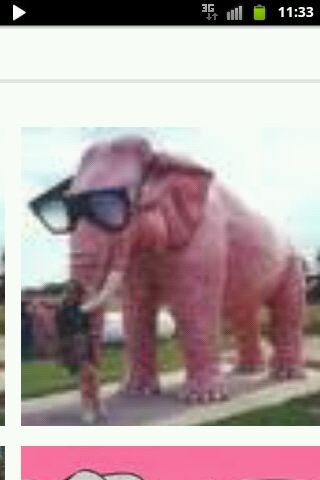 bestmop's profile picture. wij tweeten:moppen onzin en als je dit tog leest fmg