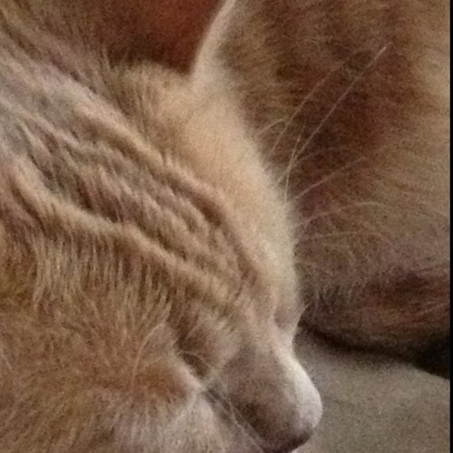 LindaMmortier's profile picture. 