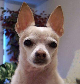 N2Bass's profile picture. Love my Beautiful Wife My Family and God My tweets are all mine