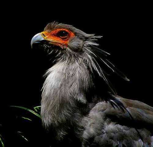 usa18527's profile picture. 