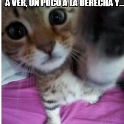 Juego Cp. Tfm y ya! ¬¬
