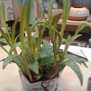 Mona Gay Light Being - @lightbeing57 - Twitter