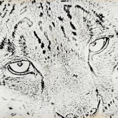 Chui the Leopard is a silly name, or so speakers of Swahili tell me.
Simba the Lion seemed to do ok ...