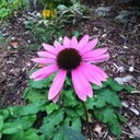 Julia LeRoy - @leroy_julia - Twitter