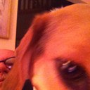 Paul Blough - @paulprocoll - Twitter