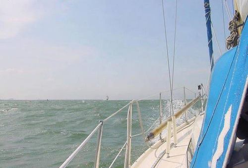 84__mark's profile picture. 