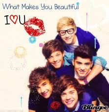 Amo a OnE Direction' siempre sere Directioner de 3 
Asta la muerte' 
:D 
Amo estar con mis BFF's son las mejores' las adoro'