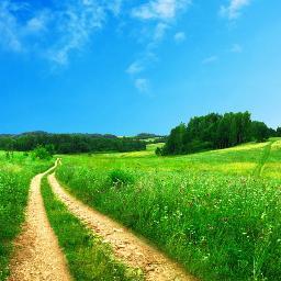 Reli_free's profile picture. religious liberty from a Sabatarian Christian perspective