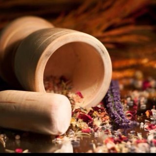 LEBotanicals's profile picture. Living Earth Botanicals