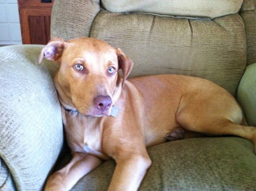 ksvince's profile picture. 