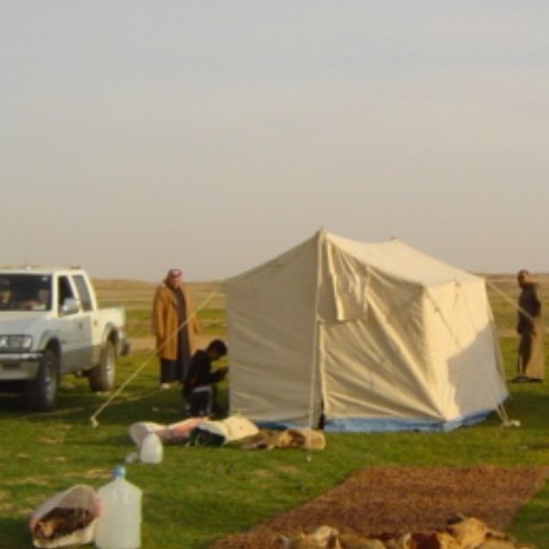 3ashiq_q8's profile picture. 