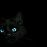 ajessG! (@jesbetter) 's Twitter Profile
