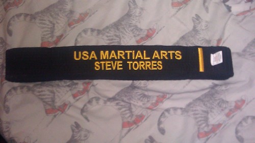TKD black belt, Yankees/Giants/Knicks fan, MMA fan, Dolce Diet disciple, friend and brother to all.