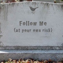 techmonkeywest's profile picture. 