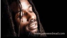 TEAMPEEWEEDREAD's profile picture. Peewee Dread he is not just an artist, he is an activist!