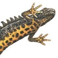 takammmo Profile Picture