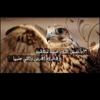 سـعد العازمي (@s3adbnhaef) 's Twitter Profile