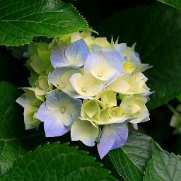 mels_65's profile picture. 