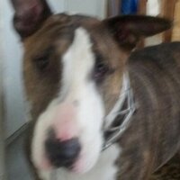 Ron Henry (@rhenry0702) 's Twitter Profile