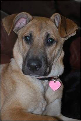 angchap68's profile picture. 