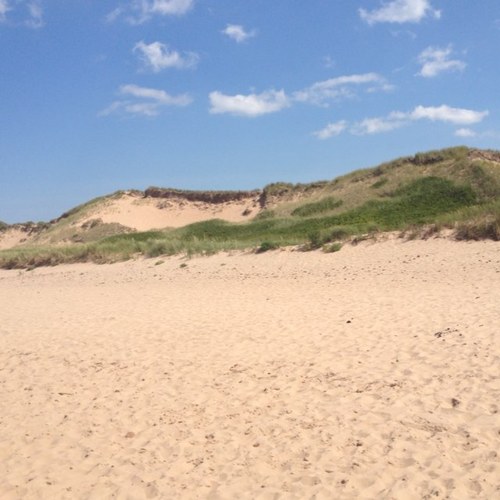 TheKenCY's profile picture. Homocon in a Homolib world