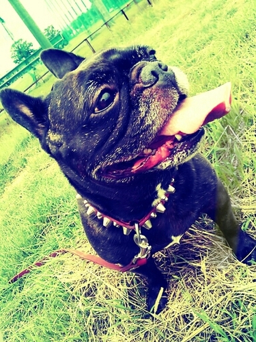 izuuumi83's profile picture. ゲームとか怖い話とかお笑いとかお酒とか好きです