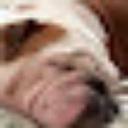 Dale Setzer - @MesaBulldog - Twitter