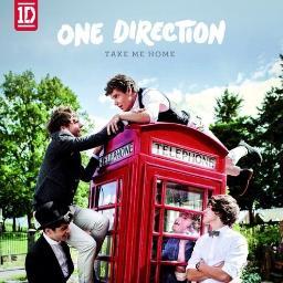 Harry Styles, Zayn Malik, Liam Payne, Niall Horan and Louis Tomlinson :)