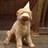 Liana_SLP's profile image