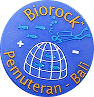 Pemuteran Bay Coral Protection Foundation oversees more than 70 artificial 'biorock' coral reefs, which have restored fish stocks and marine biodiversity.