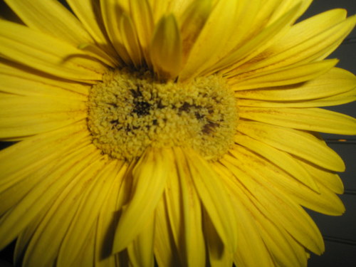 SelGalahad's profile picture. Mi fuerza es como la de 10 porque mi corazón es puro

(bloquear es súper relajante)