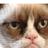 NeuroticJonas's profile image