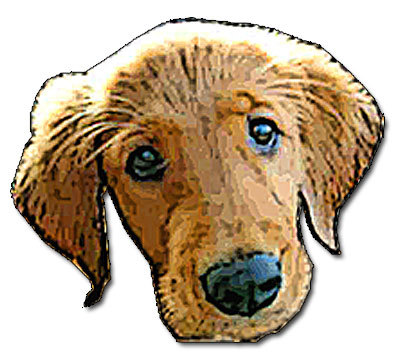 Lover of #GoldenRetrievers and #Dogs.  
Like us on Facebook http://t.co/PlEmW9NQ
Follow us on RebelMouse https://t.co/Emwxrvbf