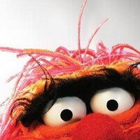 TDawg (@thenextvinnie) 's Twitter Profile