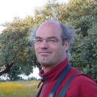 Leo Linnartz (@leolinnartz) 's Twitter Profile