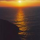 Tracey Wright - @traceywright635 - Twitter