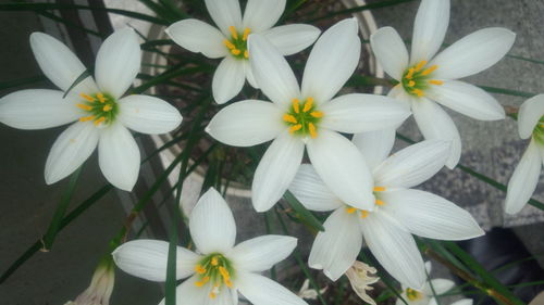 kondotaro's profile picture. 