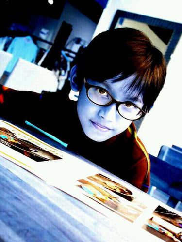 Lego creator.