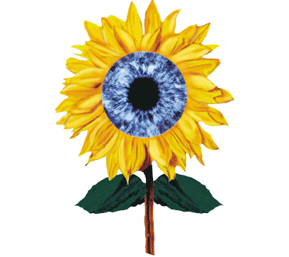 SeeClearlyClass's profile picture. See Clearly Vision is proud to hold continuing education classes for optometrists in the Mid-Atlantic region.