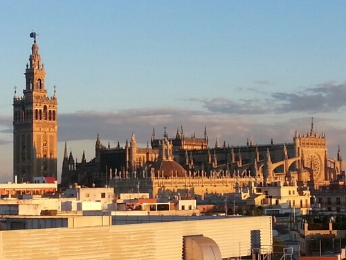 alvmaza's profile picture. 