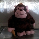 Aaron Peek - @wotdoiput - Twitter