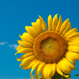 npo_smile's profile picture. ひきこもり・不登校の数は全国で160万人と言われ、予備群を含めると17人に一人の割合だと言われています。“きっかけ”を探すお手伝いをしているNPO法人スマイルです。解決の糸口が見つかるはずです。お話をお聞かせ下さい。