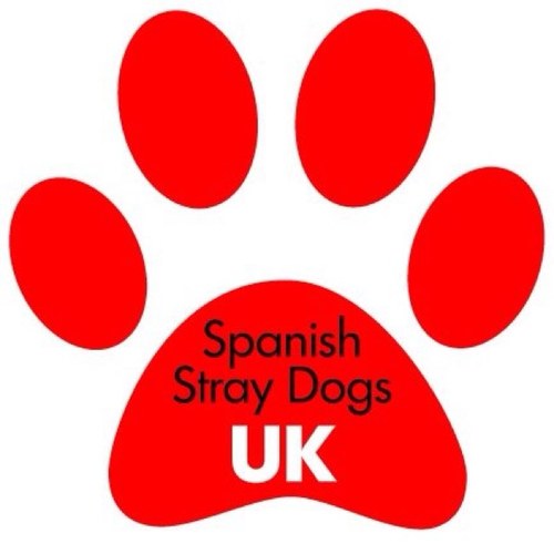 We match Spanish homeless dogs with families living in UK. Would like to ADOPT? /Buscamos hogar en Reino Unido a perros abandonados en España. ¿Quieres ADOPTAR?