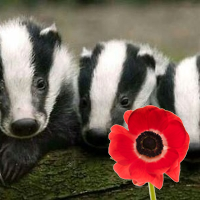 KatMillward's profile picture. 