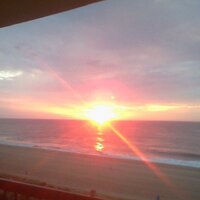 susan pardo (@susanpardo1) 's Twitter Profile